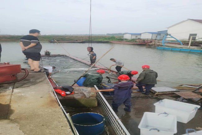 澧縣土地資源,澧縣公共基礎(chǔ)設(shè)施,澧縣工商業(yè)信息咨詢,澧縣澧州實業(yè)發(fā)展有限公司 澧縣土地資源,澧縣公共基礎(chǔ)設(shè)施,澧縣工商業(yè)信息咨詢,澧縣澧州實業(yè)發(fā)展有限公司