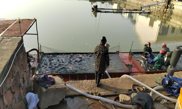 澧縣土地資源,澧縣公共基礎(chǔ)設(shè)施,澧縣工商業(yè)信息咨詢,澧縣澧州實(shí)業(yè)發(fā)展有限公司 澧縣土地資源,澧縣公共基礎(chǔ)設(shè)施,澧縣工商業(yè)信息咨詢,澧縣澧州實(shí)業(yè)發(fā)展有限公司