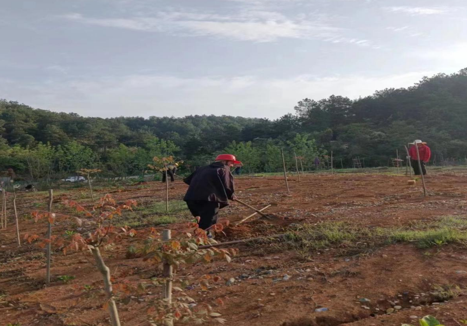 澧縣土地資源,澧縣公共基礎(chǔ)設(shè)施,澧縣工商業(yè)信息咨詢,澧縣澧州實業(yè)發(fā)展有限公司 澧縣土地資源,澧縣公共基礎(chǔ)設(shè)施,澧縣工商業(yè)信息咨詢,澧縣澧州實業(yè)發(fā)展有限公司